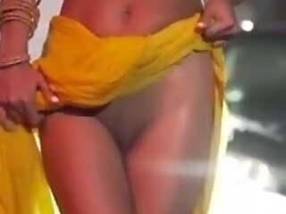 Poonam Pandey, nude dancing video