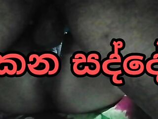 Sri lankan couple sex expedient  api hukana sadde ahanna anna.