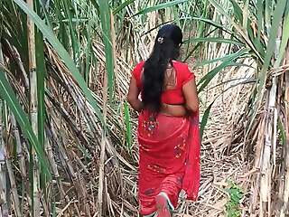 My step mom in sugarcane farming