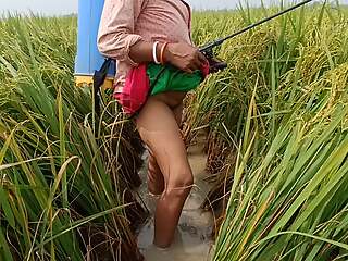 village nomita Compliments on rice plants Bengali audio dirty