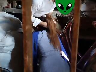 Pakistani Pupil Sex in Municipal House